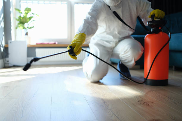 Best Flea Control Services  in Bear Valley Springs, CA
