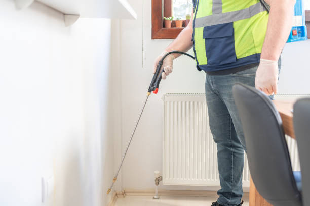 Pest Prevention Services in Bear Valley Springs, CA