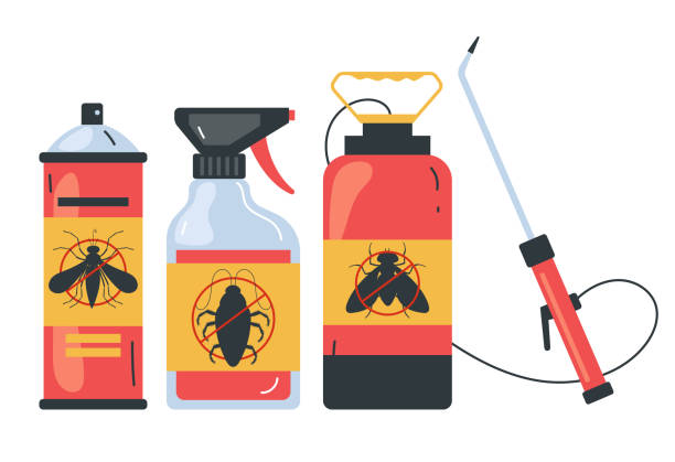 Professional Pest Control in Bear Valley Springs, CA