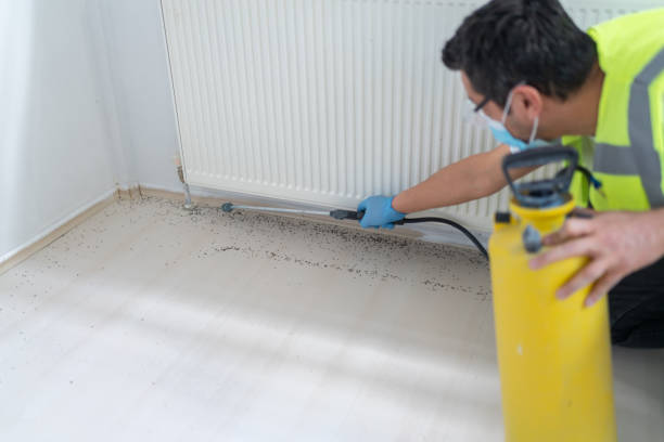 Best Mosquito Control Services  in Bear Valley Springs, CA