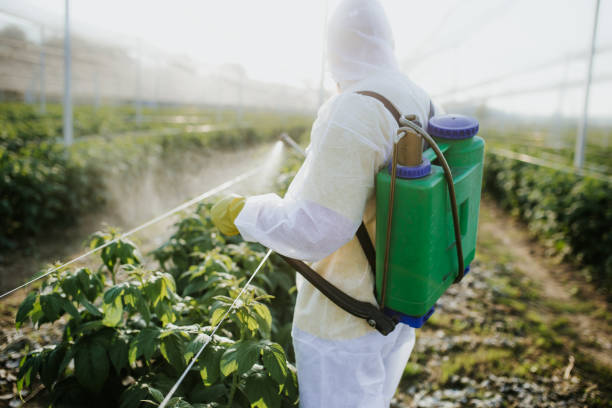 Best Best Pest Control Companies  in Bear Valley Springs, CA
